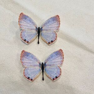 NWOT Etsy Handmade Silk Butterfly 2-Piece Hair Clips Multicolor Size 2"